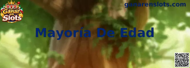 Guía informativa sobre mayoría de edad y acceso responsable a juegos con apuestas en México