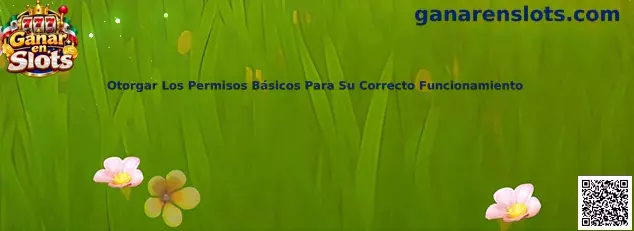 Otorgar Los Permisos Básicos Para Su Correcto Funcionamiento