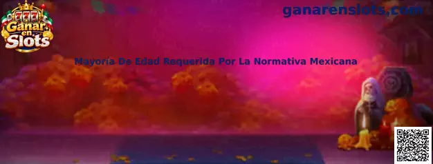 Mayoría De Edad Requerida Por La Normativa Mexicana